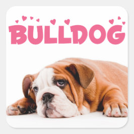Kärlek English Bulldog Puppy Hund Rosa Hearts Stic Fyrkantigt Klistermärke