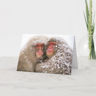 kärlek erövrar alla kort