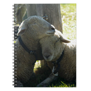 Kärlek Ewe Sheep Anteckningsbok