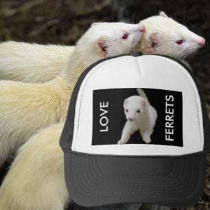 Kärlek Ferrets White Ferret Keps