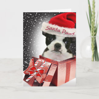 Kärlek för Boston TerrierSanta tassar som du Card Helgkort