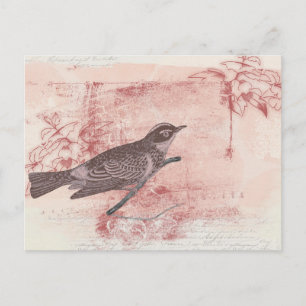 kärlek för brev för romantisk fågelteckninggrunge vykort
