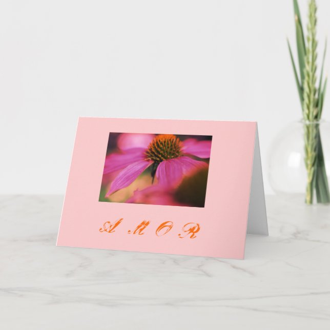 "Kärlek för Echinacea y ", Helgkort (Framsida)
