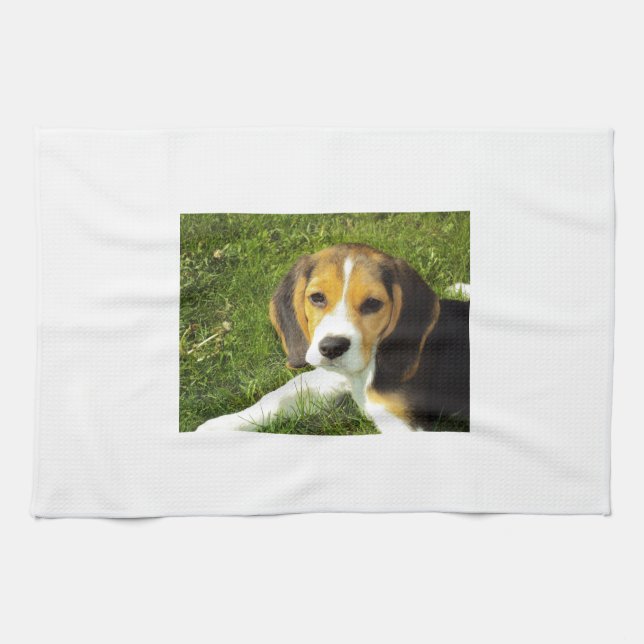 Kärlek för fred för djur för Beaglehundhusdjur Kökshandduk (Horisontell)