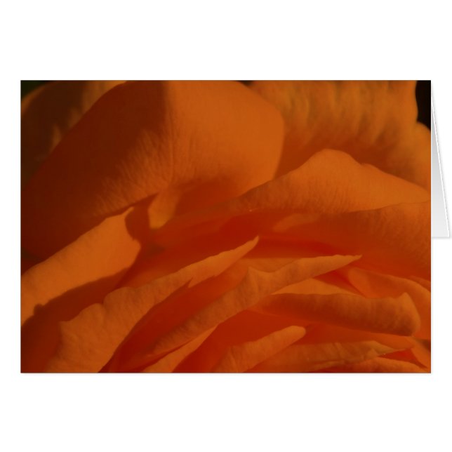 Kärlek för Tú eresmi, mi-vida Hälsningskort (Framsidan Horizontal)