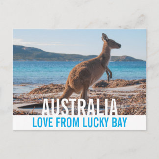Kärlek från Australien Kangaroo Lucky Bay Photo Vykort