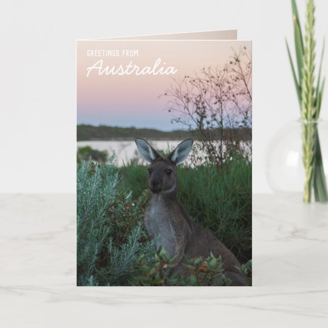 Kärlek från Australien Kangaroo Sunset Sjö Anpassn Kort (Framsida)