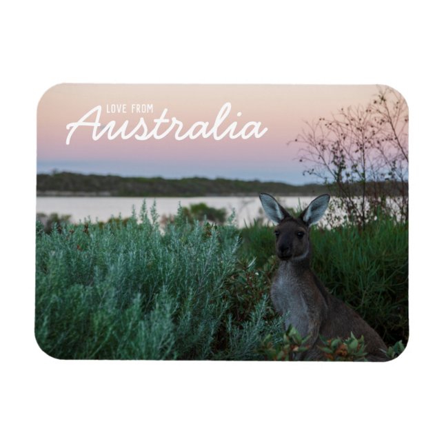 Kärlek från Australien Kangaroo Sunset Sjö Magnet (Horisontell)