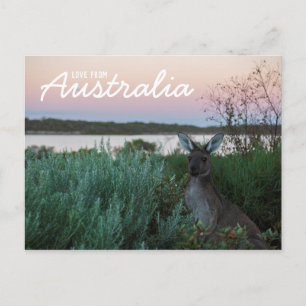 Kärlek från Australien Kangaroo Sunset Sjö vykort