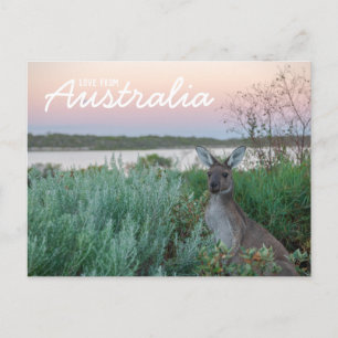 Kärlek från Australien Kangaroo Sunset Sjö vykort