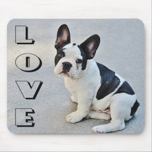 Kärlek Fransk Bulldog Black and White Puppy Hund Musmatta