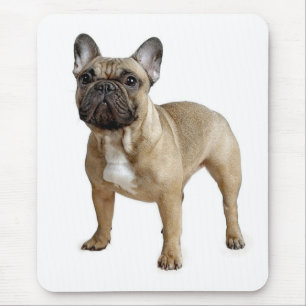 Kärlek Fransk Bulldog Puppy Hund Mousepad Musmatta