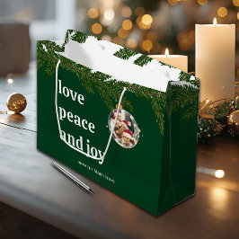 Kärlek Fred Glädje Jul Foto Skog Grön Stor