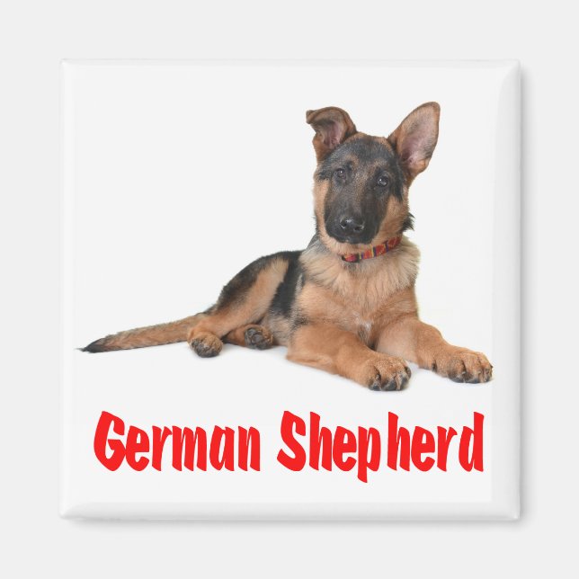 Kärlek German Shepherd Puppy Hund Fridge Magnet (Framsidan)