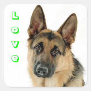 Kärlek German Shepherd Puppy Hund Stickers Fyrkantigt Klistermärke