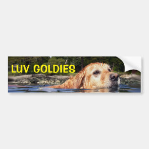 Kärlek Golden Retrievers - Bumper Sticker Bildekal