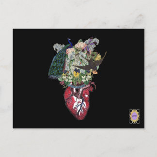 Kärlek Grows Vykort