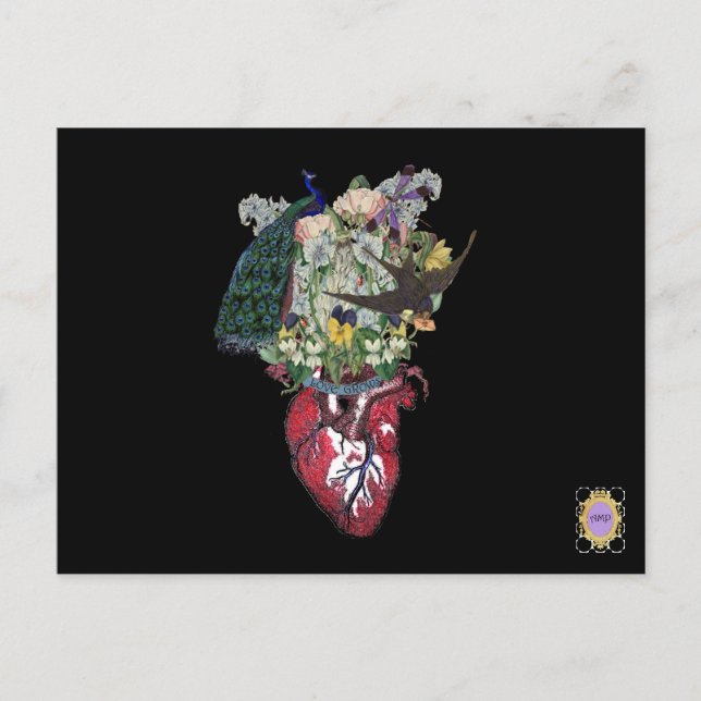 Kärlek Grows Vykort (Framsida)