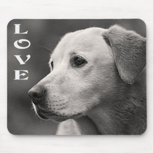 Kärlek Gult Labrador Retriever Puppy Hund Mousepad Musmatta