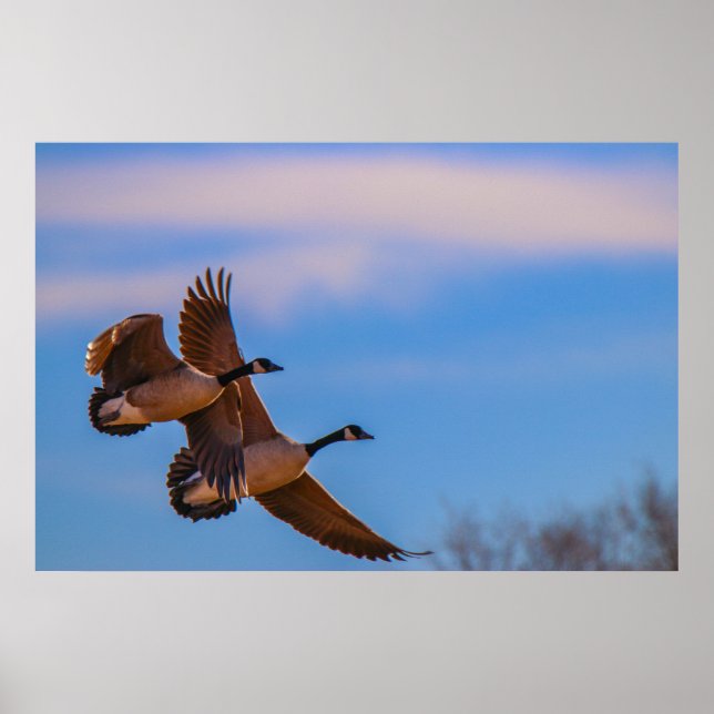 kärlek håller ihop poster (Framsidan)