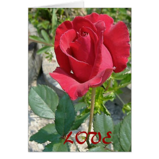 KÄRLEK HÄLSNINGSKORT