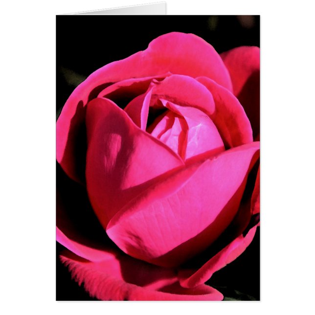 Kärlek Hälsningskort (Framsidan)