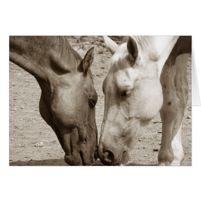 Kärlek Hälsningskort (Framsidan Horizontal)