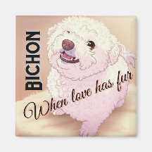 Kärlek har päls Bichon