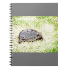 Kärlek Hedgehogs Anteckningsbok