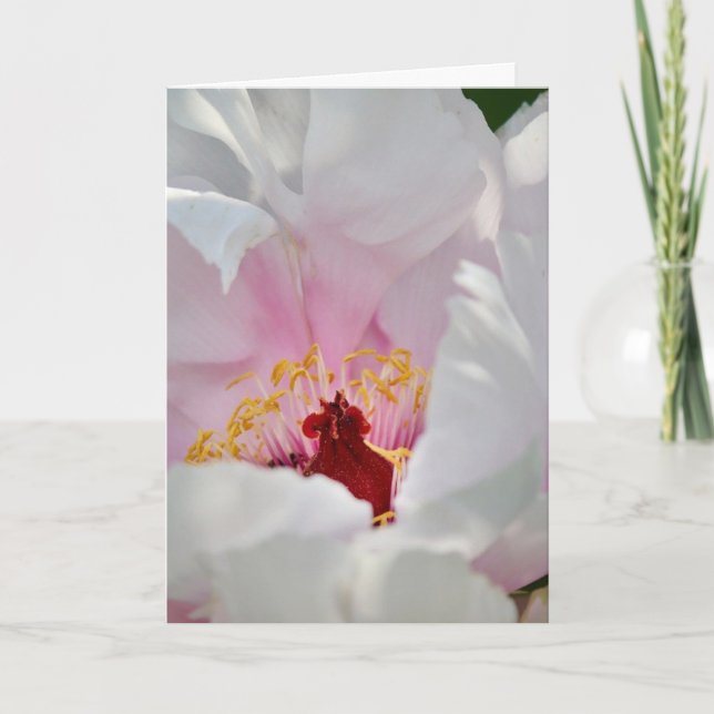 Kärlek Helgkort (Framsida)