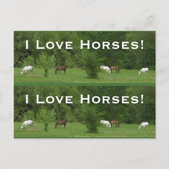 Kärlek Horses! Bokmarkörer - Anpassa! Vykort (Framsida)