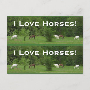 Kärlek Horses! Bokmarkörer - Anpassa! Vykort