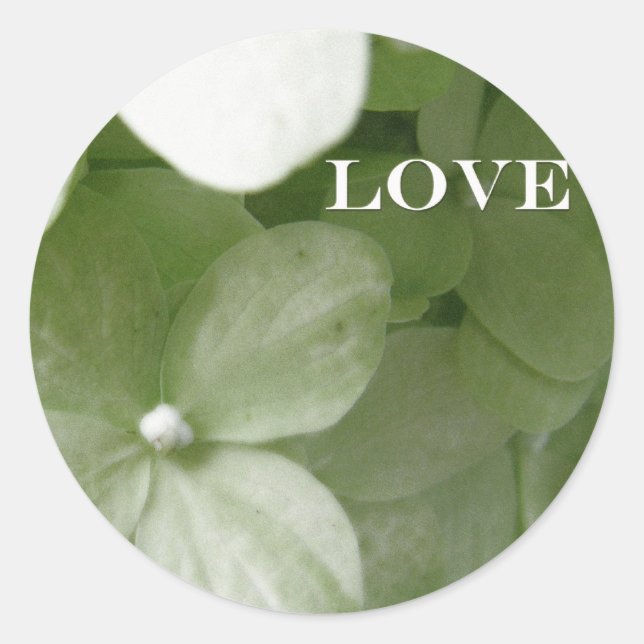 kärlek hydrangea runt klistermärke (Framsida)