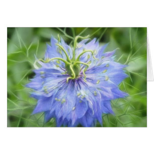 Kärlek i en mist - Nigella Damascena Hälsningskort