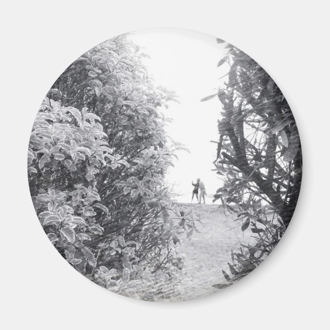 Kärlek i ett foto magnet (Framsidan)