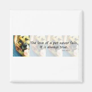 Kärlek i ett sällskapsdjur magnet