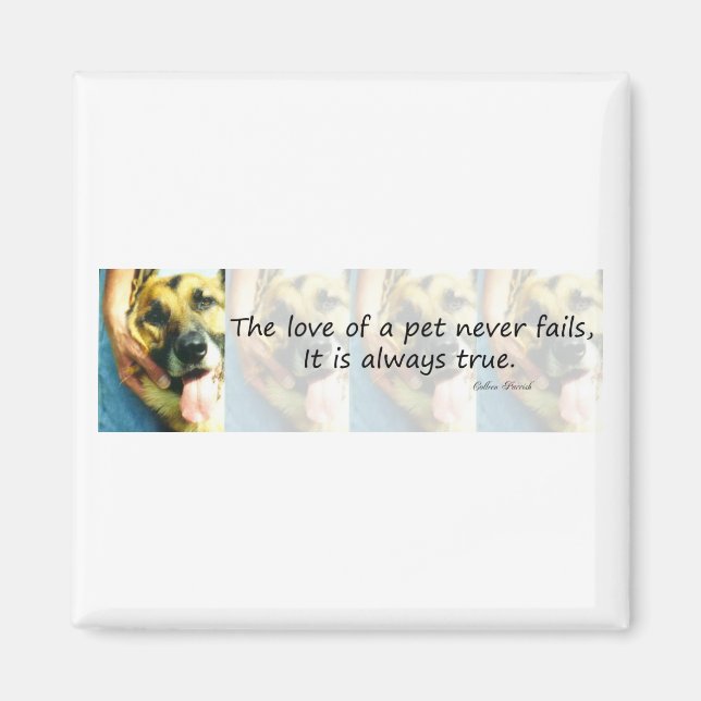 Kärlek i ett sällskapsdjur magnet (Framsidan)