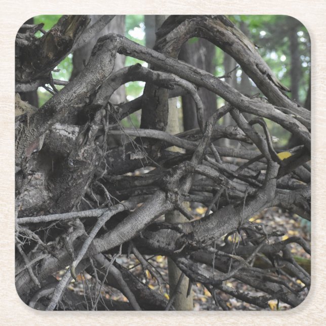 Kärlek i Fallen Träd Underlägg Papper Kvadrat (Framsidan)
