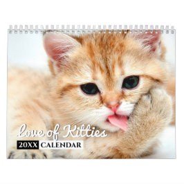 Kärlek i Kattunge fotoväggskalender Kalender