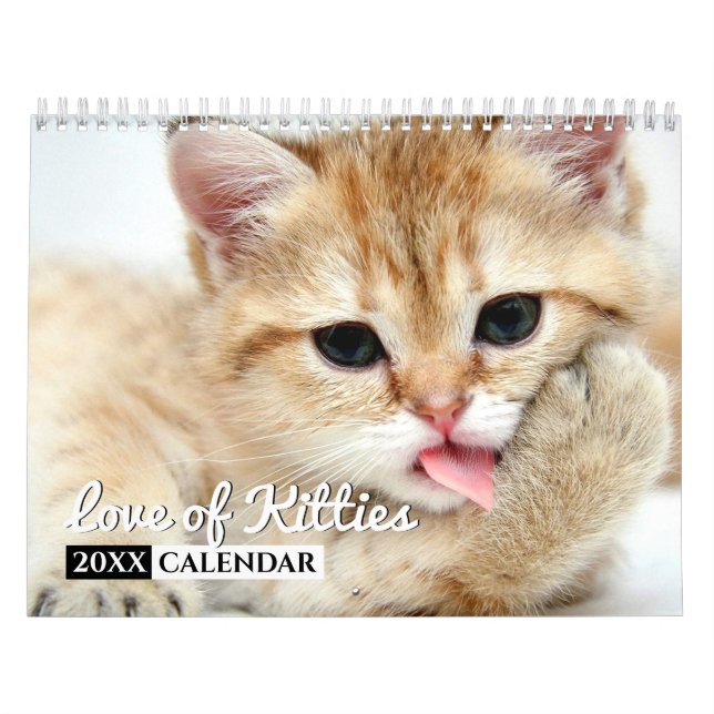 Kärlek i Kattunge fotoväggskalender Kalender (Omslag)