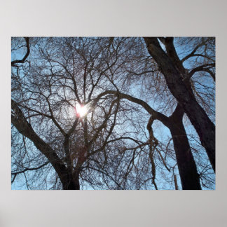Kärlek i natur poster