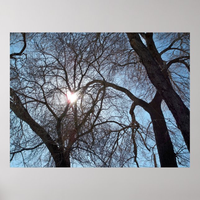Kärlek i natur poster (Framsidan)