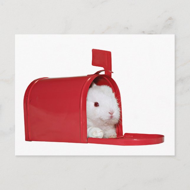 Kärlek i posten vykort (Framsida)