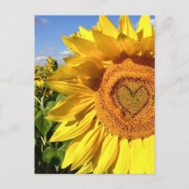 Kärlek i solblommor vykort