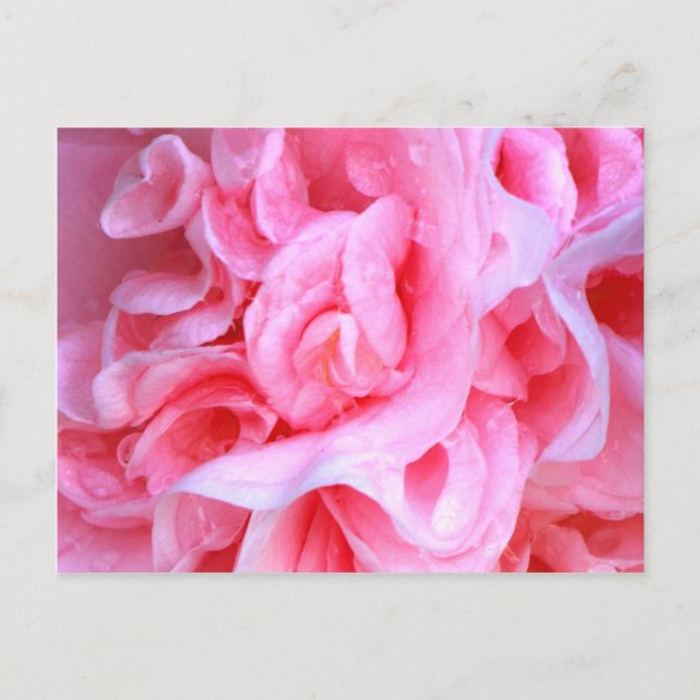 Kärlek is_ vykort (Framsida)