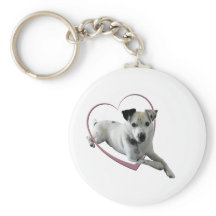 Kärlek Jack Russell Hund Gifts