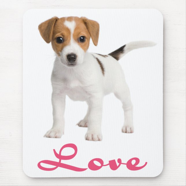 Kärlek Jack Russell Terrier Puppy Hund Mousepad Musmatta (Framsidan)