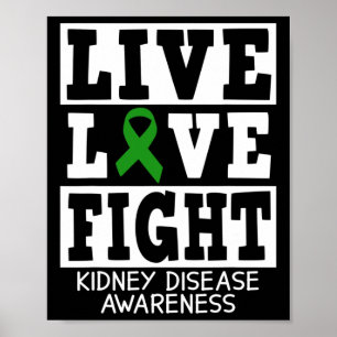 Kärlek Kamp Grönt Ribbon Kidney Disease Awareness Poster