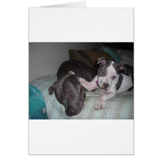 kärlek, kärlek, kärlek hälsningskort