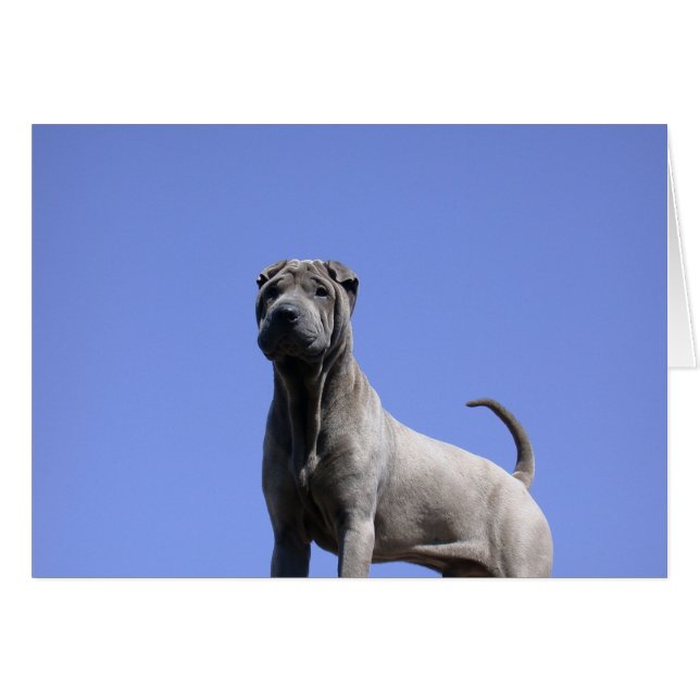 Kärlek, Kärlek min Hund... Hälsningskort (Framsidan Horizontal)